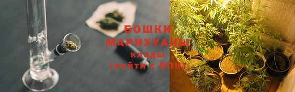 шишки Баксан