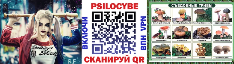 Псилоцибиновые грибы GOLDEN TEACHER  OMG вход  Кушва 
