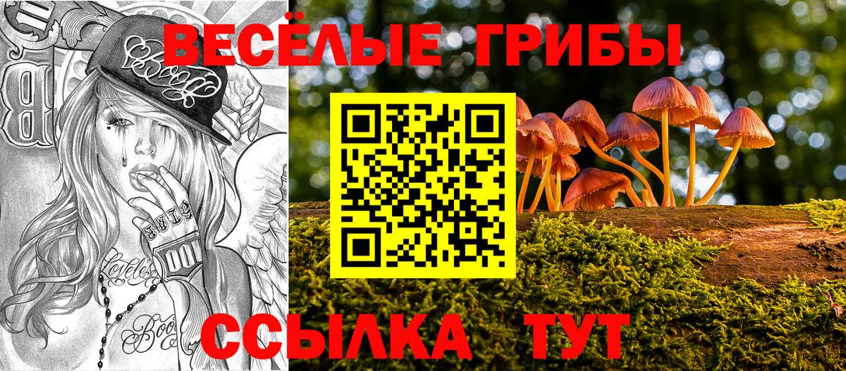 Псилоцибиновые грибы Magic Shrooms  Псилоцибиновые грибы Psilocybine cubensis  Кушва  Вход с VPN 